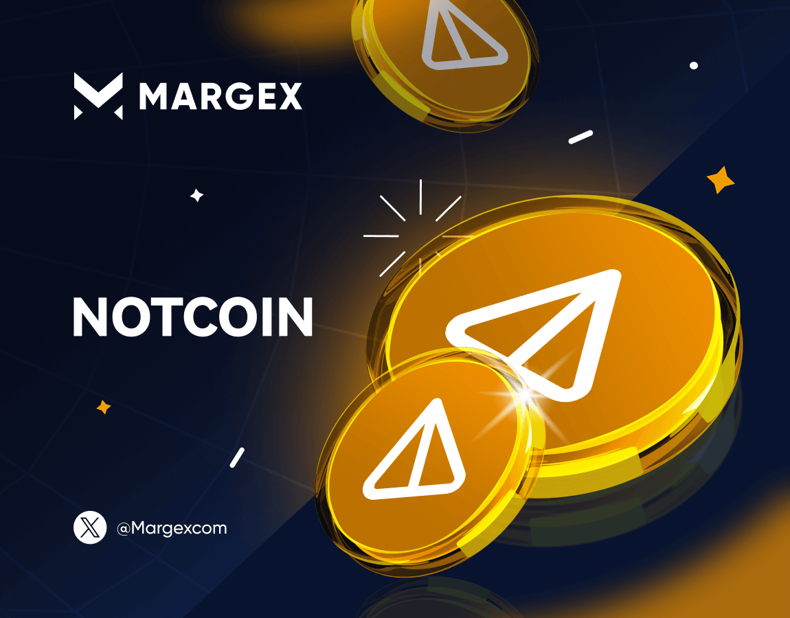 TON 체인의 상위 5개 코인 - Margex Blog Top 5 Coins on TON Chain