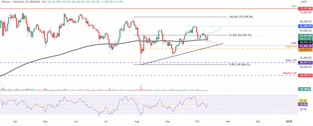 Bitcoin’s 4% Surge and XRP’s Steady Performance - Margex Blog