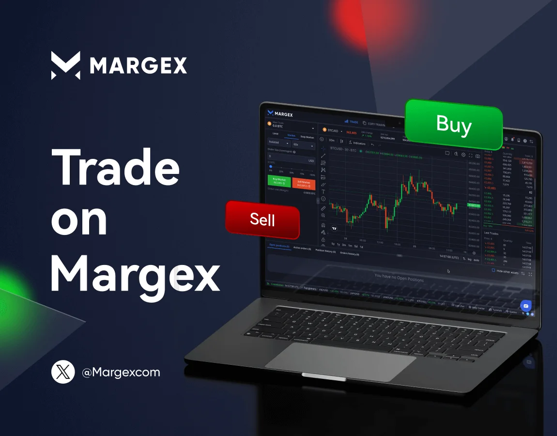 엘론 머스크의 암호화폐 시장에 대한 큰 영향이 다시 드러남 - Margex Blog