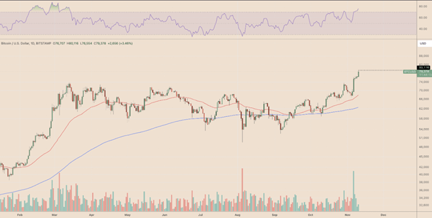 트럼프의 승리가 암호화폐 시장에 어떤 영향을 미칠까? - Margex Blog