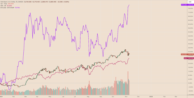 트럼프의 승리가 암호화폐 시장에 어떤 영향을 미칠까? - Margex Blog