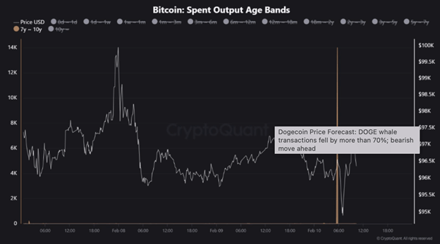 크립토 가격 예측: 잠복 비트코인 ​​움직임, 라이트코인 강세는 최고치를 목표로 하고, 도지코인은 약세 압박에 직면 - Margex Blog