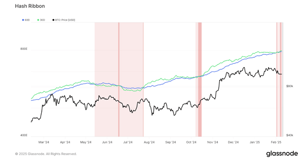 크립토 가격 예측: 잠복 비트코인 ​​움직임, 라이트코인 강세는 최고치를 목표로 하고, 도지코인은 약세 압박에 직면 - Margex Blog